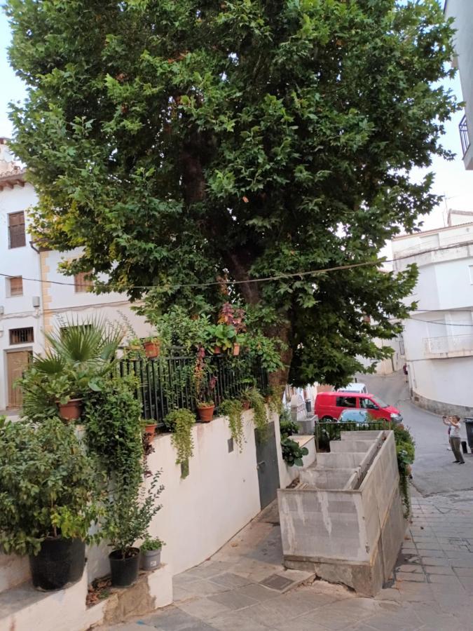 Apartamento El Pilar Güéjar Sierra Eksteriør billede